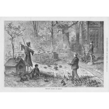 Pheasant rearing germany for sale  GLASGOW