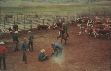 Cowboy western branding for sale  USA