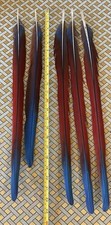 Scarlet macaw tail for sale  Lake Orion