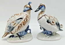 Vintage german porcelain for sale  LIGHTWATER