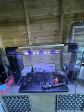 superfish tank for sale superfish tank for sale STAFFORD