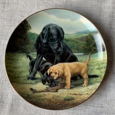 Franklin mint spring for sale  ANDOVER