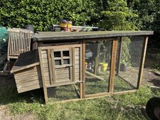 Chicken hen poultry for sale  YORK