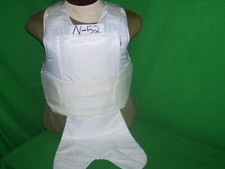 Armor express armor for sale  Cottageville