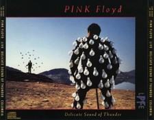 Usado, CD: PINK FLOYD Delicate Sound Of Thunder NM 2 discs comprar usado  Enviando para Brazil