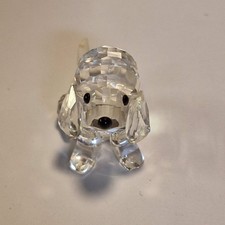 beagle hund gebraucht kaufen beagle hund gebraucht kaufen Viernheim