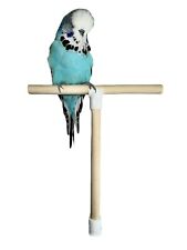 Form vogelbarschständer natur gebraucht kaufen  Versand nach Germany