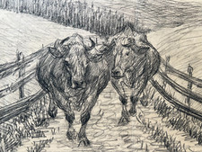 Rinder kühe 1923 gebraucht kaufen  Mainz