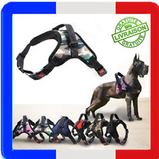 Harnais chien tres d'occasion  Cran-Gevrier