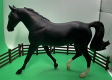 fox trotter for sale fox trotter for sale Newark