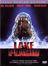 Lake placid for sale  Fairport