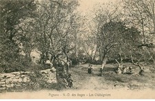 Var pignans dame d'occasion  France
