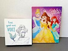 Disney princess wall for sale  Williamsburg