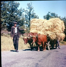 Cantal 1960 ektachromes d'occasion  Ballon