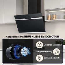 60cm dunstabzugshaube wandmont gebraucht kaufen  Ginsheim-Gustavsburg
