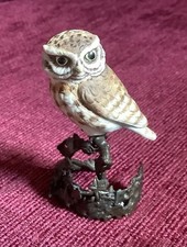 Albany worcester owl for sale  NORWICH