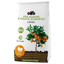 Cifo lupini macinati usato  Corato