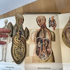 Antiquarisches anatomie krankh gebraucht kaufen  Wolfratshausen