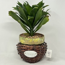 Indoor planter wicker for sale  Butte