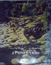 Merisio polito passo usato  Italia