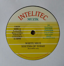 White Mice (2) - Youths Of Today (7") (Near Mint (NM or M-)) - 2620231656 comprar usado  Enviando para Brazil