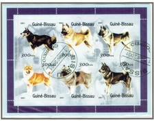 animali blocco usato  Carugate
