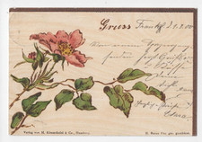 Künstlerkarte heckenrose 1900 gebraucht kaufen  Deutschland