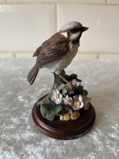 Country artists sparrow for sale  NOTTINGHAM