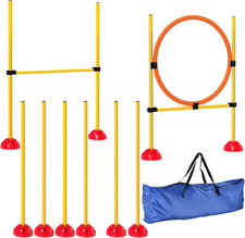 Set agility cani usato  Roma