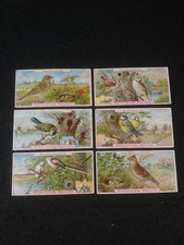 Bilder serie vögel gebraucht kaufen  Lübeck