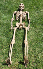 outdoor halloween decorations for sale  Shippensburg