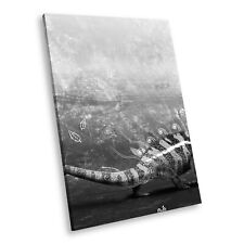 A055 black white for sale  STRABANE