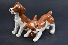 Beswick playful puppies for sale  NORTHAMPTON