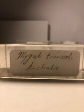 Mygale terricole australie d'occasion  Paimpol