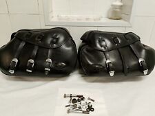 Sportster coppia borse usato  Vo