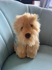 Posh paws puppy for sale  UK