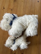 Tcm tchibo hunde gebraucht kaufen  Bad Aibling