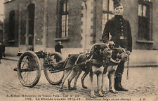 militaria belge d'occasion  Expédié en Belgium