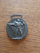 Medaglia volontari guerra usato  Bresso
