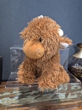 Jomanda highland coo for sale  MANSFIELD