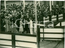 1946 belfast princess usato  Milano