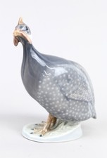 guinea fowl for sale guinea fowl for sale Shelburne