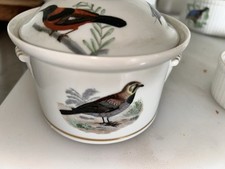 Faune lourioux birds d'occasion  Expédié en Belgium