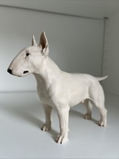 Northlight english bull for sale  BIRMINGHAM