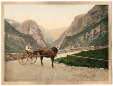 Norway hardanger fjord d'occasion Norway hardanger fjord d'occasion  Pagny-sur-Moselle