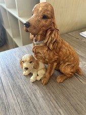 Cocker spaniel puppy for sale  HUNTINGDON
