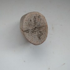 Driftwood piece display for sale  TAUNTON