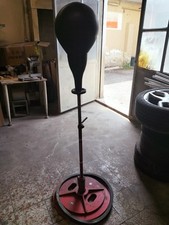 Punching ball carnielli usato  Torino