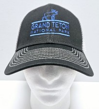 Grand teton national for sale  Simpsonville