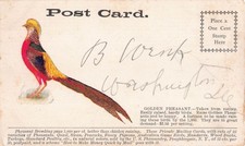Vintage advertising postcard for sale  Unionville